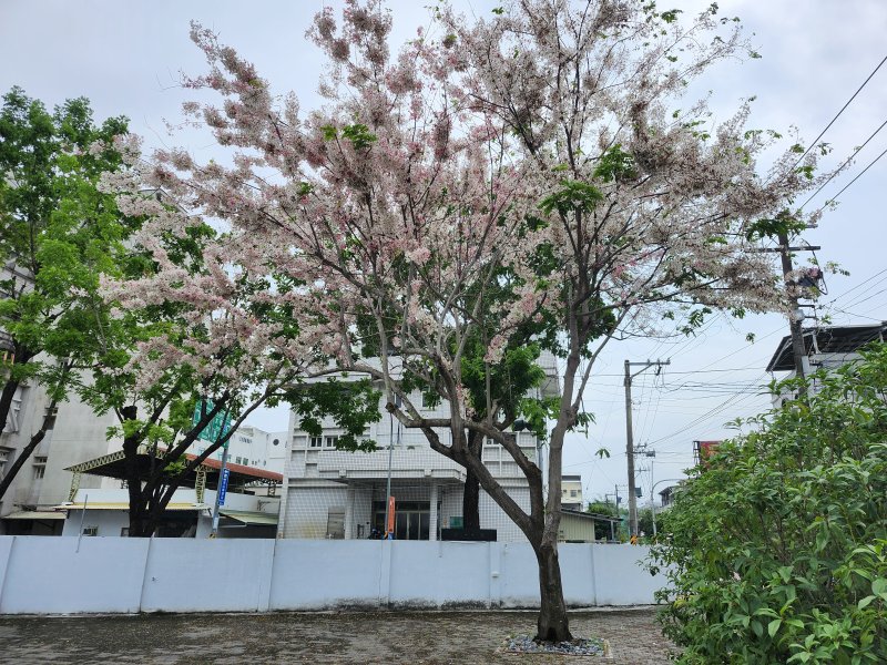 川普稱伊朗急於達成協議　美國掌握談判主導權